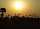  bagan sunset, myanmar